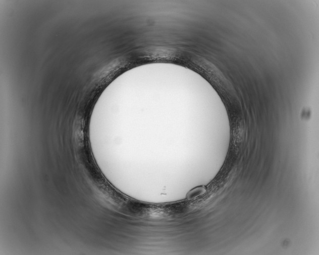 X0000099320264200805231431