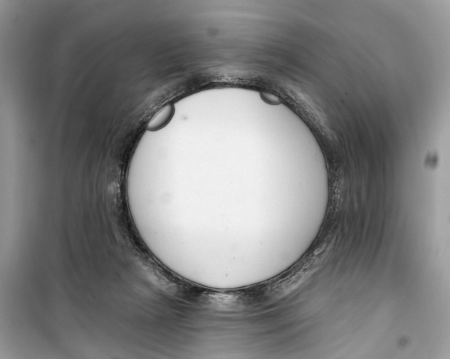 X0000099320265200805231431