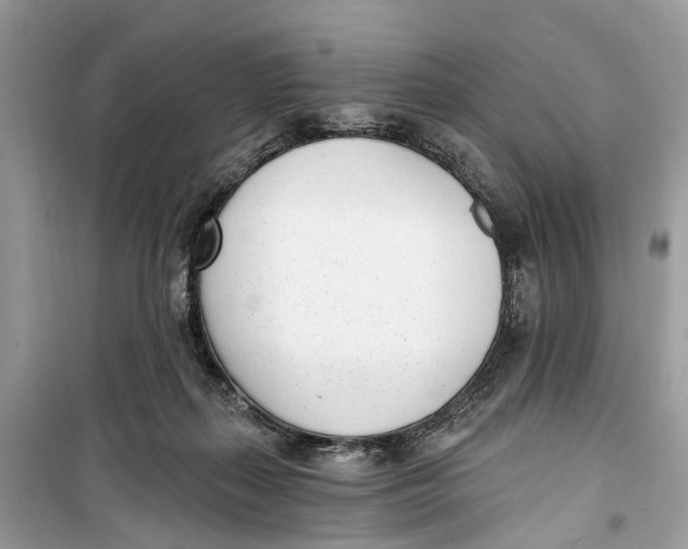 X0000099320267200805231431