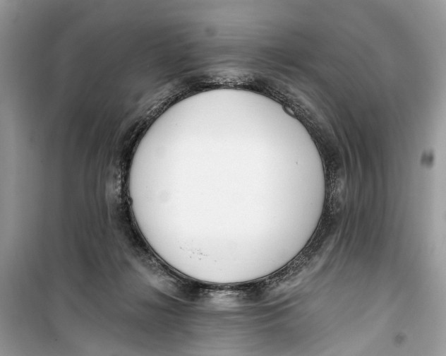 X0000099320268200805231431