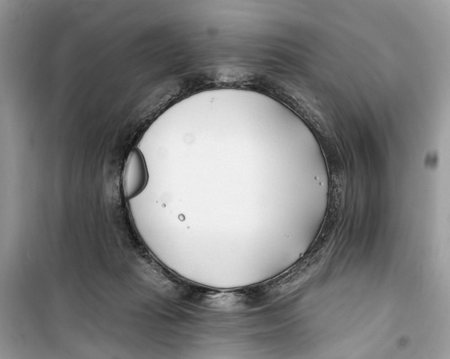 X0000099320269200805231431