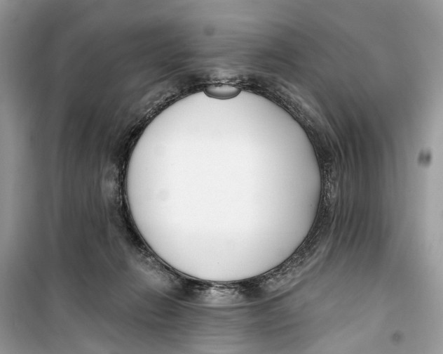 X0000099320270200805231431