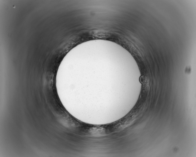 X0000099320271200805231431