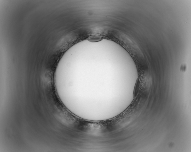 X0000099320272200805231431