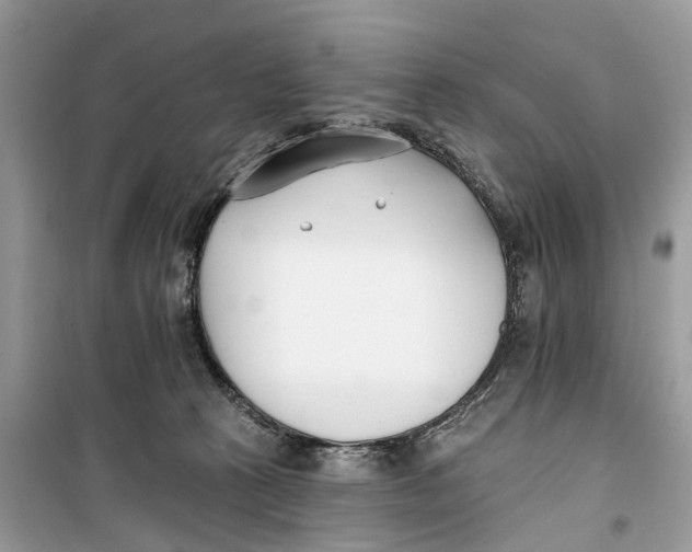 X0000099320273200805231431