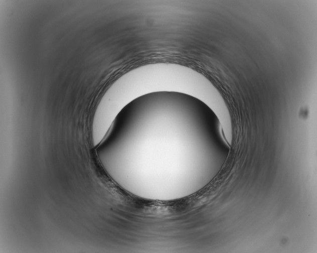 X0000099320276200805231431