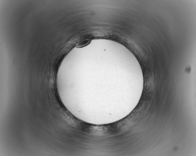 X0000099320277200805231431