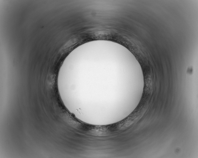 X0000099320278200805231431