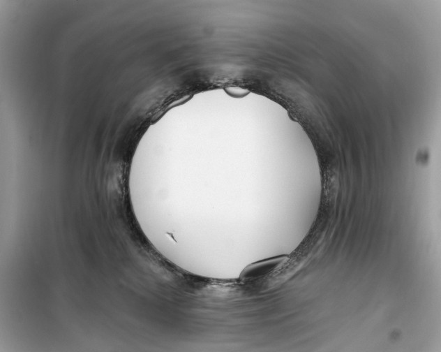 X0000099320280200805231431