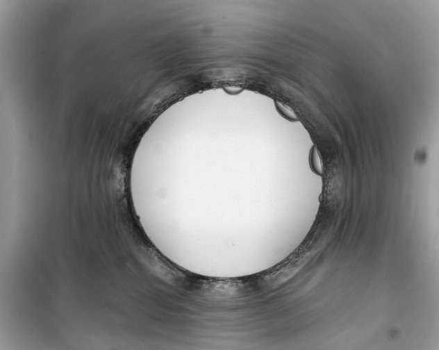 X0000099320282200805231431