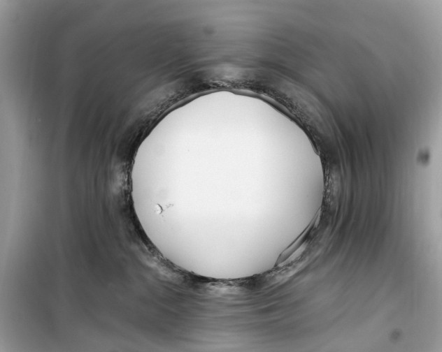 X0000099320284200805231431