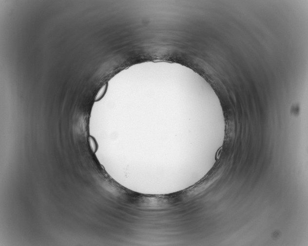 X0000099320286200805231432