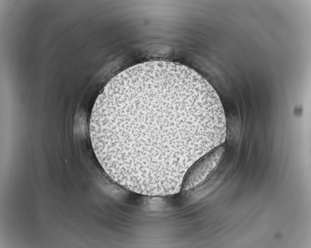 X0000099320287200805231432