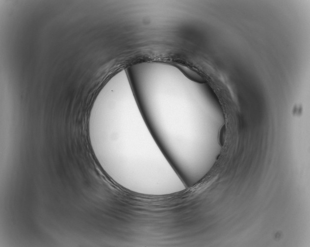 X0000099320288200805231432