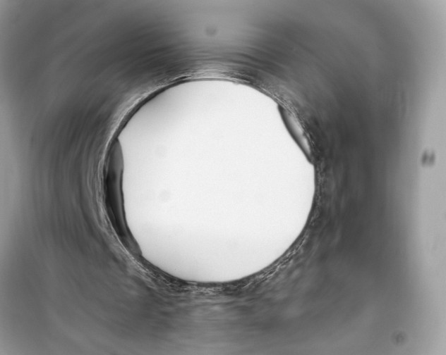 X0000099320289200805231431