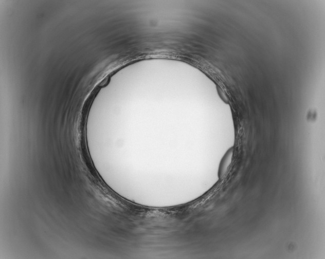 X0000099320290200805231431