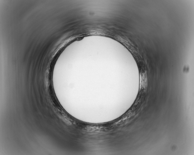 X0000099320291200805231431