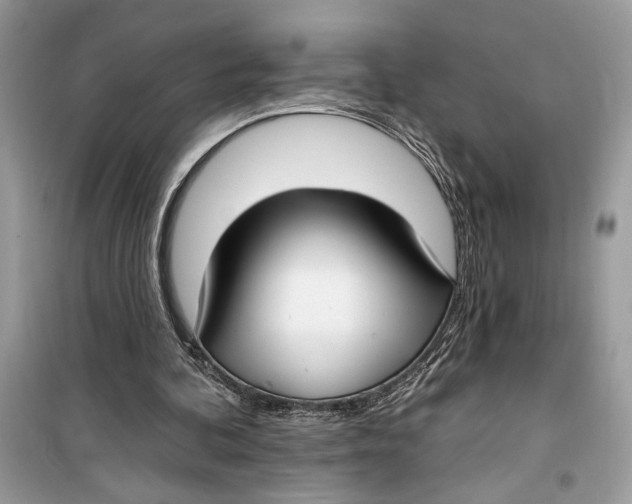 X0000099320292200805231431