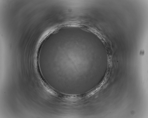 X0000099320293200805231431