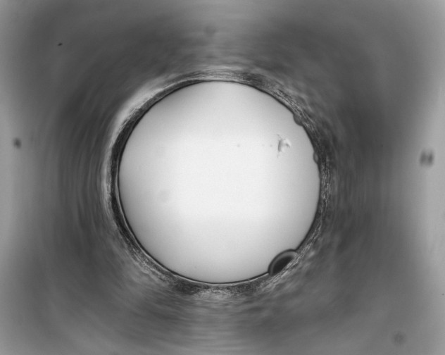 X0000099320294200805231431