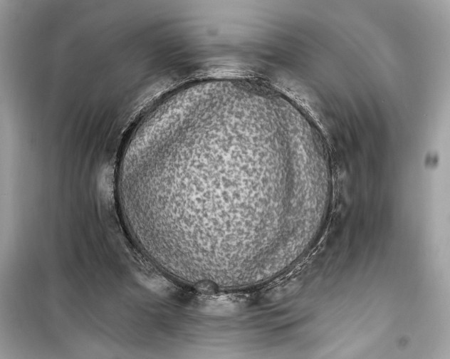 X0000099320297200805231431