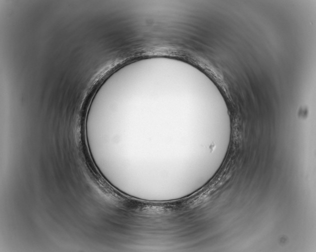 X0000099320298200805231431