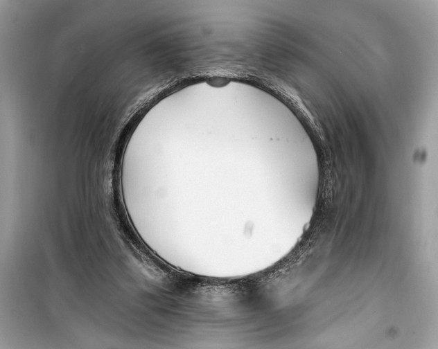 X0000099320299200805231431