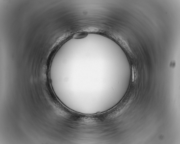 X0000099320300200805231431