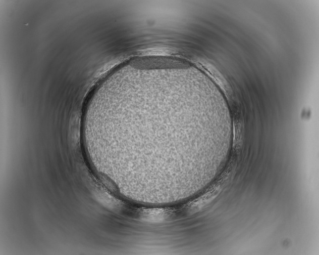 X0000099320301200805231431