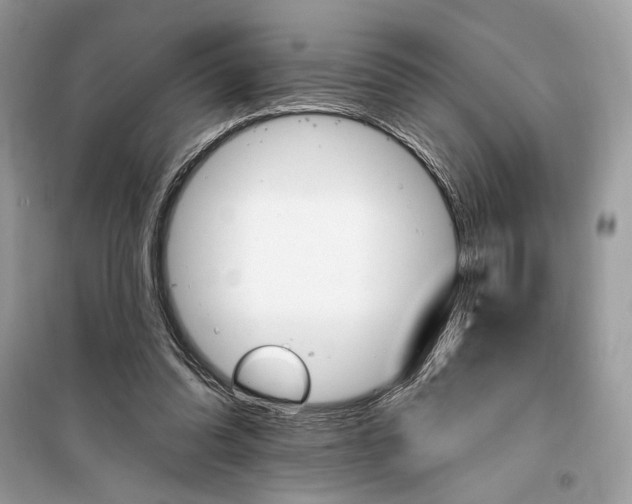 X0000099320302200805231431