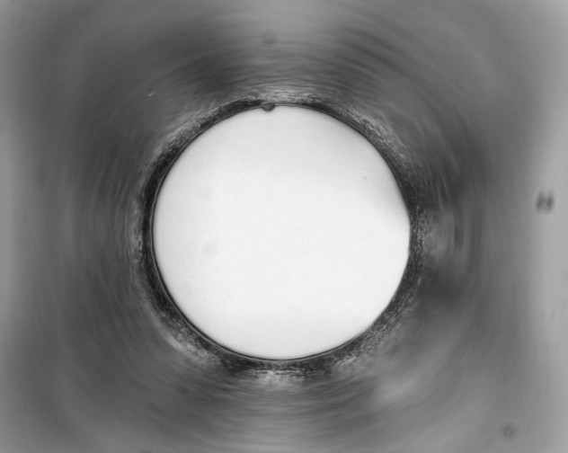 X0000099320303200805231431