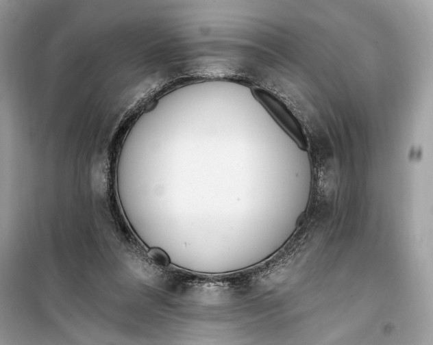 X0000099320304200805231431