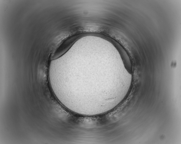 X0000099320305200805231431