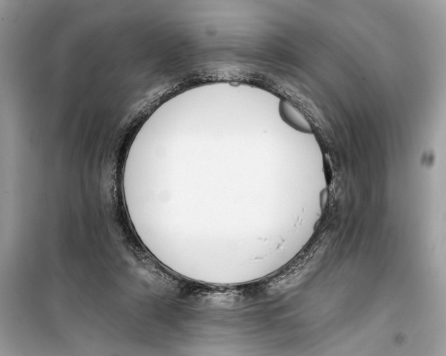 X0000099320306200805231431