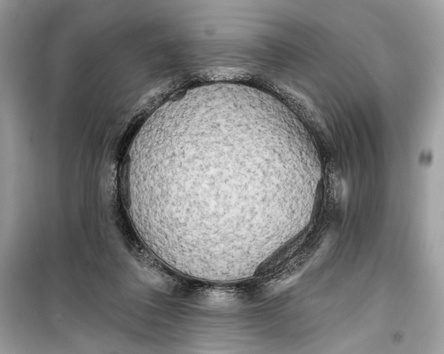 X0000099320308200805231431