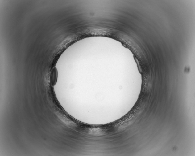 X0000099320309200805231431