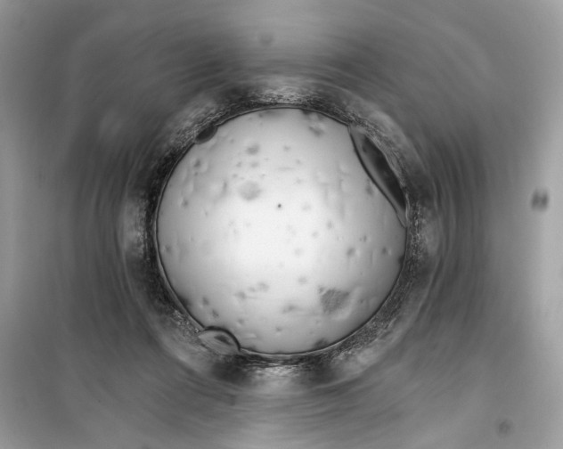 X0000099320312200805231431