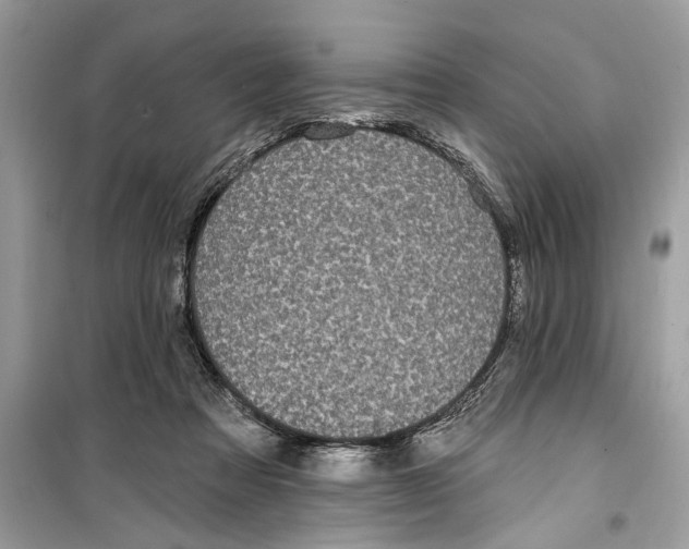 X0000099320313200805231431