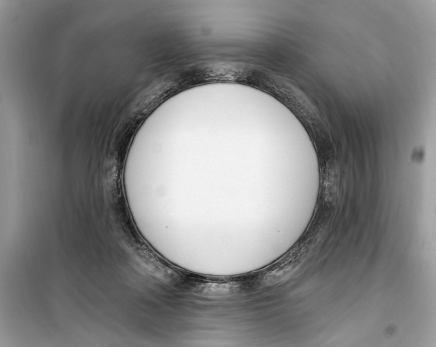 X0000099320314200805231431