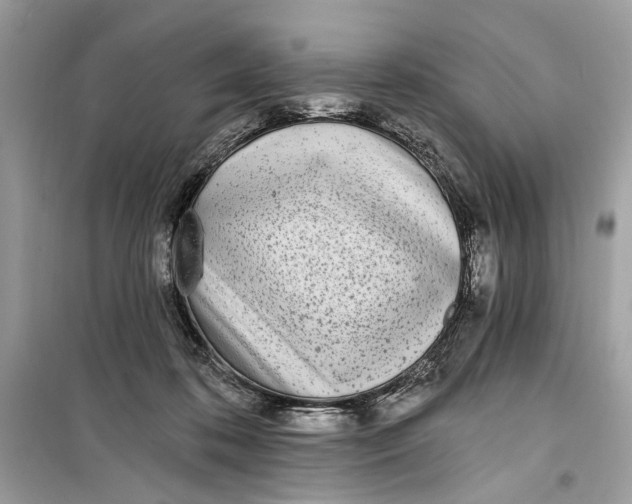 X0000099320316200805231430