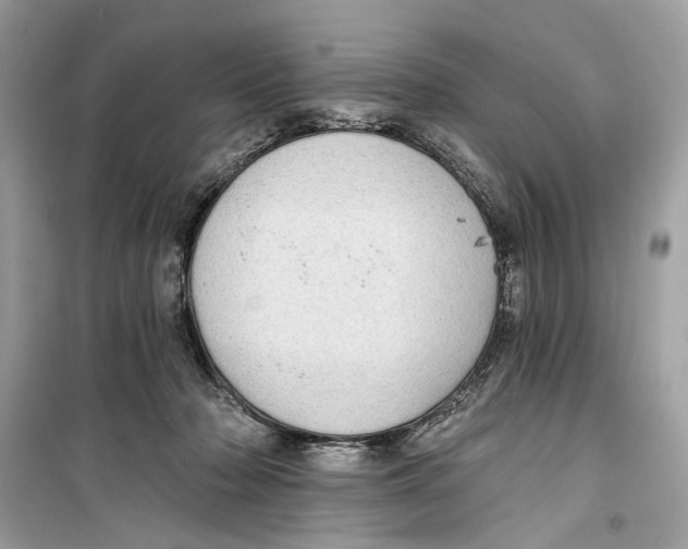 X0000099320318200805231430