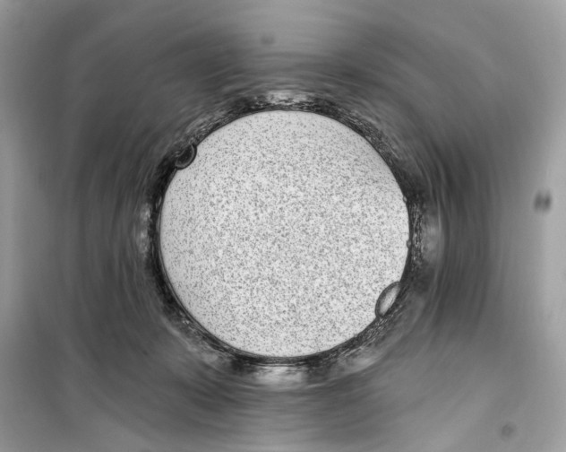 X0000099320319200805231430