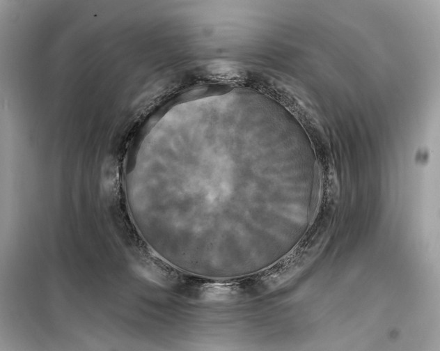 X0000099320320200805231430