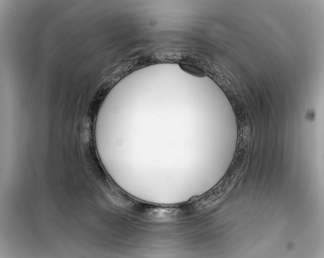 X0000099320323200805231430