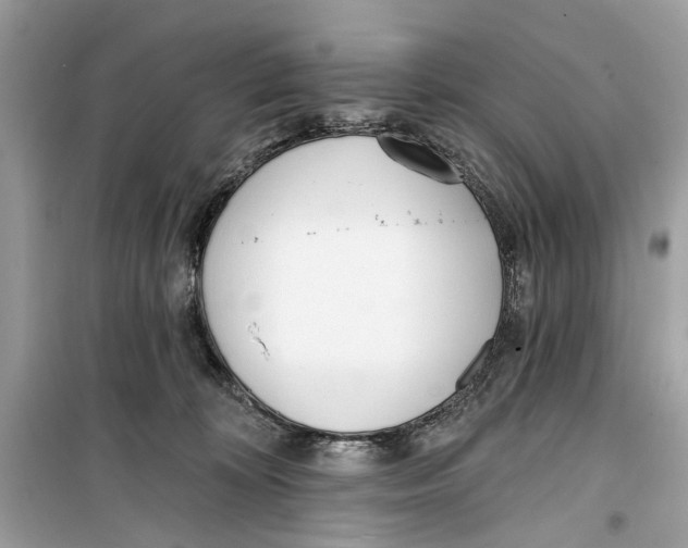 X0000099320324200805231430