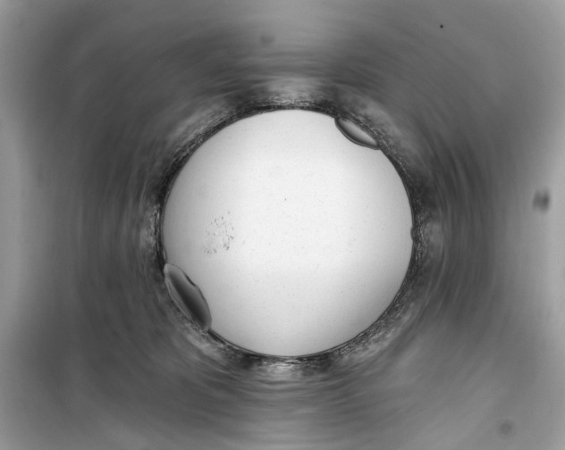 X0000099320325200805231430