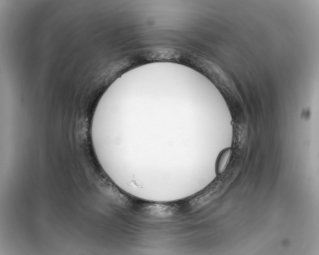 X0000099320326200805231430