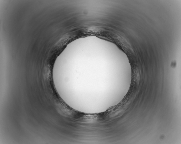 X0000099320328200805231430