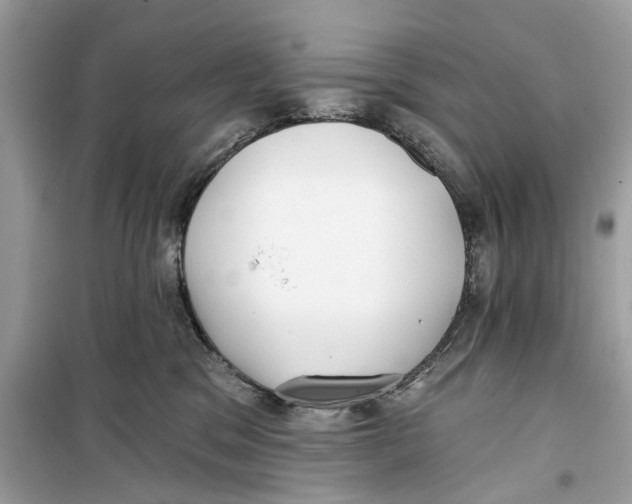 X0000099320329200805231430