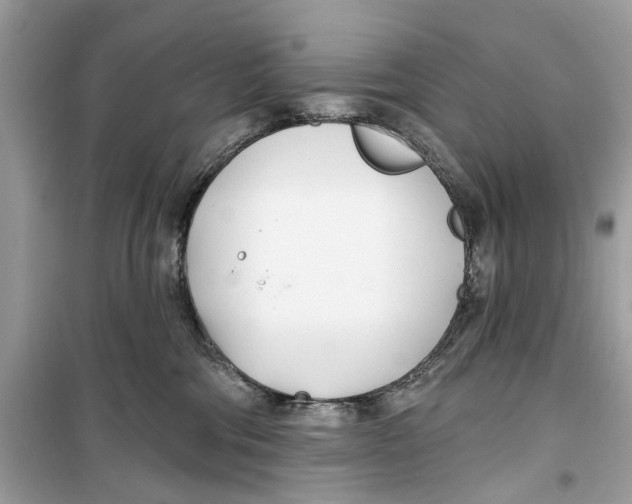 X0000099320330200805231430